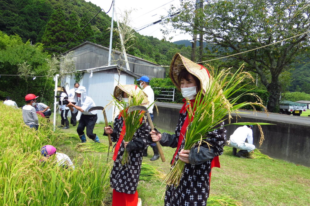 抜穂祭